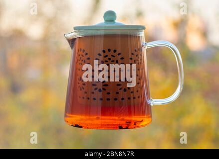 une théière en verre de thé flotte dans l'air sur un fond d'arbres verts flous Banque D'Images