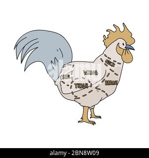 Jolie ferme française coq boucher graphique vecteur clipart. Cuisine de ferme campagnard à la main, chic et tirade. Illustration d'un animal de ferme de poulet Illustration de Vecteur