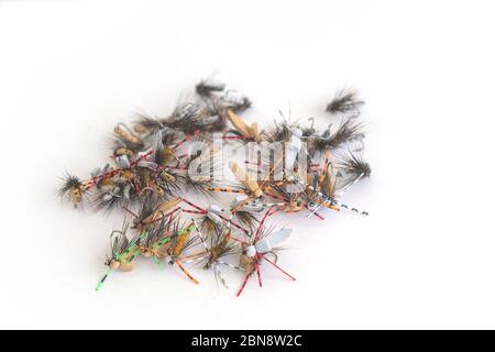 Mouches sèches pour la pêche sur fond blanc. Banque D'Images