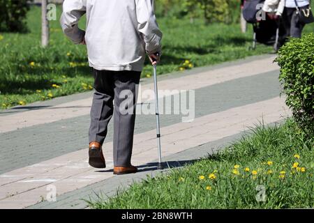 Homme âgé marchant avec une canne dans un parc de source de la ville. Concept de la limpage, maladies de la colonne vertébrale Banque D'Images