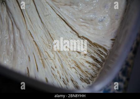 Vue d'ensemble du démarreur actif moussant pétillant, prêt à l'emploi. Recette: Farine blanche, eau, sel, levure fraîche - méthode de pâte éponge Banque D'Images