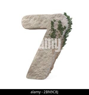 Des nombres de pierres réalistes avec de l'ivy, isolés sur un fond blanc. image 3d Banque D'Images