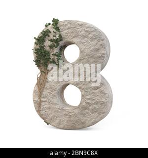Des nombres de pierres réalistes avec de l'ivy, isolés sur un fond blanc. image 3d Banque D'Images