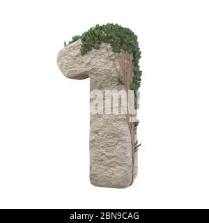 Des nombres de pierres réalistes avec de l'ivy, isolés sur un fond blanc. image 3d Banque D'Images