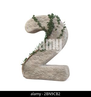 Des nombres de pierres réalistes avec de l'ivy, isolés sur un fond blanc. image 3d Banque D'Images