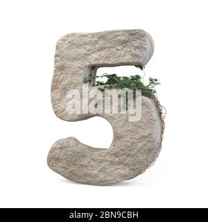 Des nombres de pierres réalistes avec de l'ivy, isolés sur un fond blanc. image 3d Banque D'Images