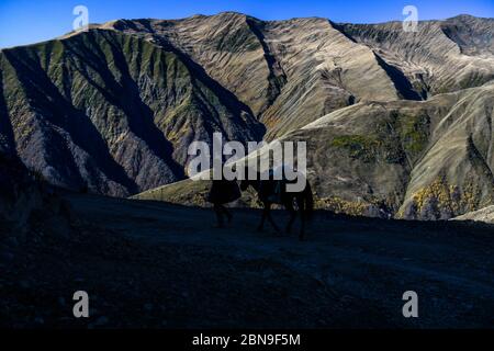Un cavalier descend de la montagne avec son cheval. Banque D'Images
