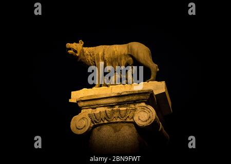 Rome, Italie : la statue du loup du Capitole sur la place Campidoglio Banque D'Images