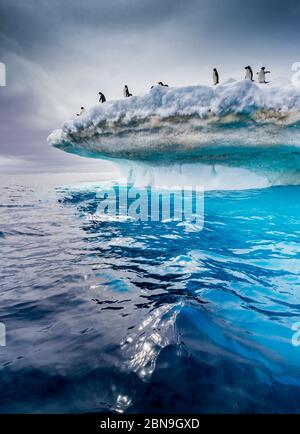Magnifiques icebergs avec des pingouins d'adelie sur le flux supérieur près de la péninsule antarctique Banque D'Images