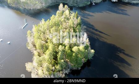 Vue aérienne du lac Borisovskoye, de la forêt et de la colonie en automne, Borisovo, Oblast de Leningrad, Russie Banque D'Images