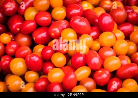 vue rapprochée des tomates fraîches juteuses. Banque D'Images
