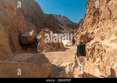 Guide d'excursion bédouin marchant dans une vallée dans le désert près de nuweiba Banque D'Images