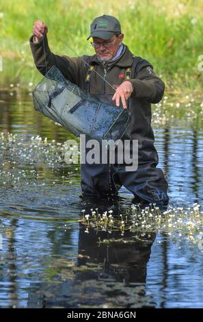 Langenherbau, Allemagne. 06e mai 2020. Ulf Bollack, garde-forestier de la région de Brandebourg, récupère une petite cage pour les amphibiens de l'eau de l'étang de Höllberg dans la zone européenne de protection Höllenberge au sud de Luckau dans le district de Dahme-Spreewald. Les 16 espèces d'amphibiens de Brandebourg souffrent de la sécheresse. La garde de la nature, qui s'occupe des barrières de crapaud et recueille des données pendant la surveillance, a obtenu des résultats alarmants. (À 'Frog, amphibien et nouveau manque d'eau dans le Brandebourg') crédit: Patrick Pleul/dpa-Zentralbild/ZB/dpa/Alay Live News Banque D'Images