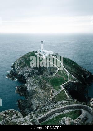 Photo du phare sur la falaise à RSPB South Stack Cliff, Anglesey, pays de Galles Banque D'Images