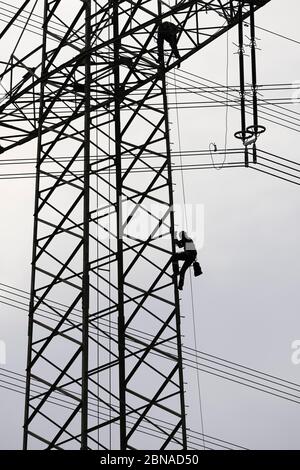 Ingénieurs haute tension travaillant sur les pylônes haute tension, Bade-Wurtemberg, Allemagne, Europe Banque D'Images