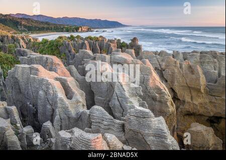 Pancake Rocks dans la lumière du soir, parc national de Paparoa, Punakaiki, Runanga, côte ouest, Nouvelle-Zélande, Océanie Banque D'Images