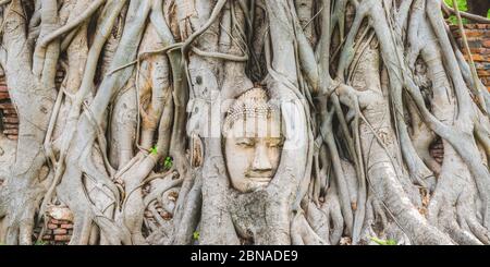 Tête d'une statue de Bouddha, cultivée à la racine, réseau de racines d'un figue à étrangler (Ficus religiosa), Wat Mahathe, Ayutthaya, Thaïlande Banque D'Images