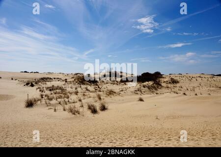 Parc national de Jockey's Ridge sur les rives extérieures en Caroline du Nord, États-Unis Banque D'Images
