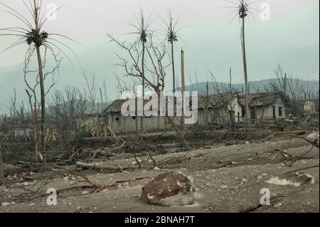 Maisons endommagées et arbres morts de l'éruption du volcan du Mont Merapi dans une zone d'évacuation de 5 km, Kepuharjo, près de Jogyakarta, Central Java, Indonésie Banque D'Images