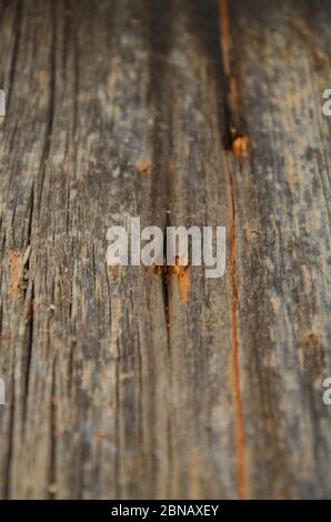 En bois avec surface texture background ancien modèle naturel Banque D'Images