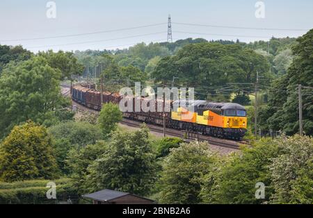 Locomotives Colas Railfreight classe 56 56087 + 56105 transportant un long train de marchandises transportant du bois sur la ligne principale de la côte ouest Banque D'Images