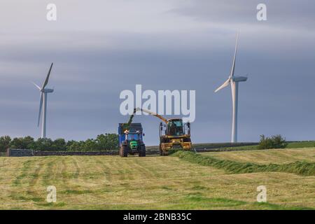 Un entrepreneur agricole utilisant une récolteuse-hacheuse automotrice New Holland FX375 collectant de l'ensilage dans une exploitation laitière du Lancashire, au Royaume-Uni Banque D'Images