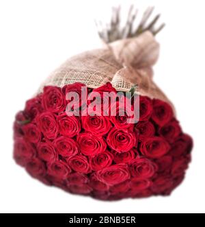 50 roses dans un bouquet Banque D'Images