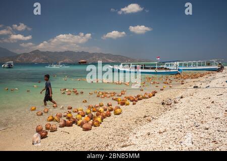 Vue horizontale des restes d’une réserve de noix de coco sur les eaux turquoise immaculées de la plage, Gili Air, îles Gili, Indonésie Banque D'Images