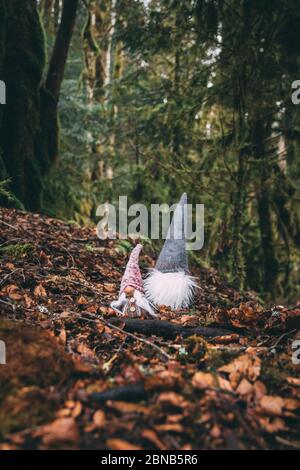 Gros plan vertical de deux jolis nains de jardin dans le forêt Banque D'Images