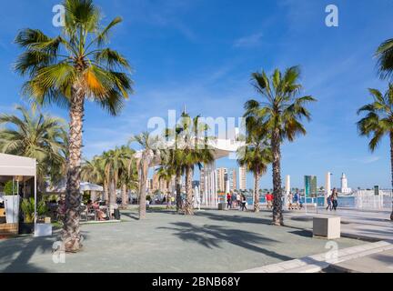 Vue sur le Paseo del Muelle Uno à Malaga Marina, Malaga, Costa del sol, Andalousie, Espagne, Europe Banque D'Images