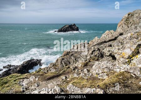 Goose Rock - The Goose - une île rocheuse inhabitée au large de la côte de Pentist point East à Newquay, en Cornwall. Banque D'Images