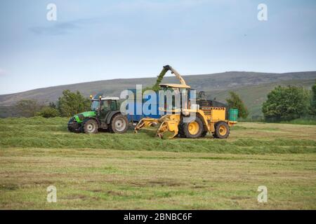 Un entrepreneur agricole utilisant une récolteuse-hacheuse automotrice New Holland FX375 collectant de l'ensilage dans une exploitation laitière du Lancashire, au Royaume-Uni Banque D'Images