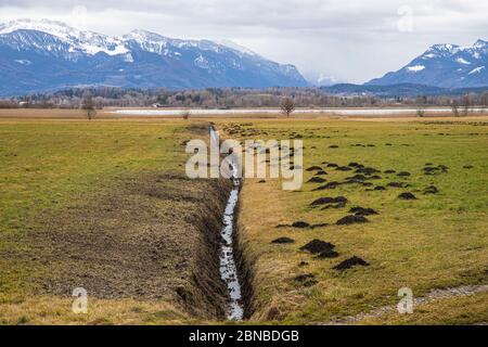 Creusement de tranchées dans la réserve naturelle pour le dégagement d'un fossé de drainage de la lande, Allemagne, Bavière, lac Chiemsee Banque D'Images