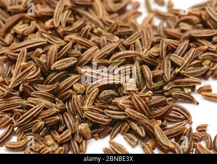 Macro de graines de carvi sur fond blanc. Banque D'Images