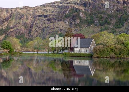 Gougane Barra, Cork, Irlande. 14 mai 2020. La lumière du matin capture les environs paisibles de l'Oratoire de Saint-Finbarr à Gougane Barra, Co. Cork, Irlande. - crédit; David Creedon / Alamy Live News Banque D'Images