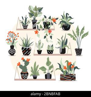 Un joli et beau petit jardin à la maison où beaucoup de plantes exotiques tropicales avec des feuilles et des fleurs de rad dans des pots noirs sont des endroits sur le grand rose Illustration de Vecteur