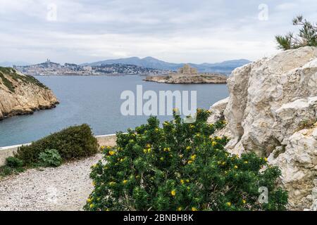 Vue incroyable sur le château d'If vu de l'île de Ratonneau À Marseille Banque D'Images