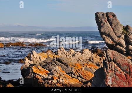 Vue sur Walker Bay depuis Hermanus Cliff Path, Afrique du Sud Banque D'Images