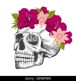 Croquis du crâne humain avec couronne à fleurs isolée sur fond blanc isolée sur illustration blanche Illustration de Vecteur