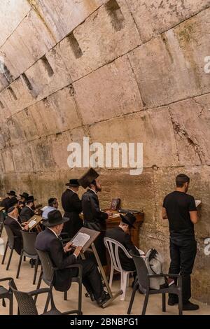 Israël, Jérusalem, le mur occidental, les hommes juifs adorent la synagogue sous l'arche de Wilson au mur occidental du Mont du Temple dans le quartier juif de la vieille ville. La vieille ville de Jérusalem et ses remparts sont classés au patrimoine mondial de l'UNESCO. Banque D'Images