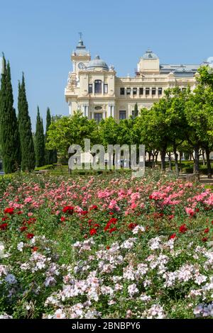 Vue sur les jardins de Pedro Luis Alonso et le Palais de la Mairie/Ayuntamiento, Malaga, Costa Del sol, Andalousie, Espagne, Europe Banque D'Images