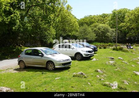 South Brant, Royaume-Uni. 14 mai 2020. Les parkings rouvrent à Dartmoor, les restrictions de verrouillage des coronavirus se levant. Le parking du pont Shipley est complet, avec des voitures et des fourgonnettes. De plus, des voitures sont stationnées sur les verges. Crédit : Julian Kemp/Alay Live News Banque D'Images