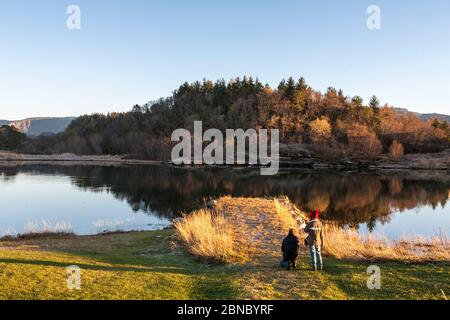 Un lac sauvage au milieu de la ville: Frøkenosen à Brønnøysund, Helgeland, Norvège du Nord Banque D'Images