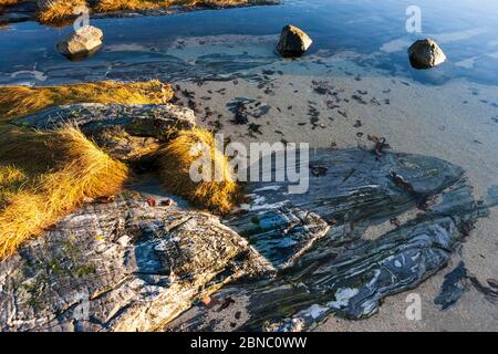 Un lac sauvage au milieu de la ville: Frøkenosen à Brønnøysund, Helgeland, Norvège du Nord Banque D'Images