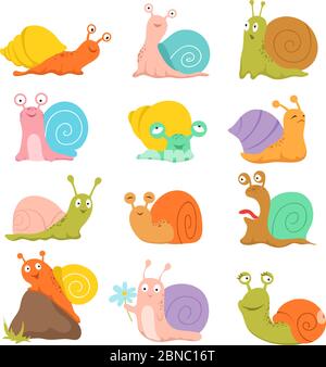 Escargot de dessin animé. Adorable pichet, mollusque avec coquille et escargot. Personnages vectoriels animaux amusants. Escargot, mollusques en coquille, illustration lente de la faune Illustration de Vecteur