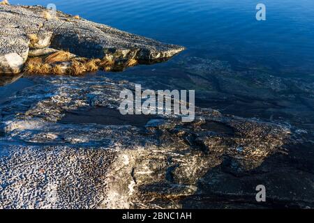 Un lac sauvage au milieu de la ville: Frøkenosen à Brønnøysund, Helgeland, Norvège du Nord Banque D'Images