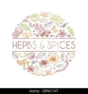 Herbes et épices fond. Cuisine asiatique tirée à la main. Style gravé de vecteur d'herbes de cuisine indiennes. Romarin et cardamome, gingembre et cannelle Illustration de Vecteur