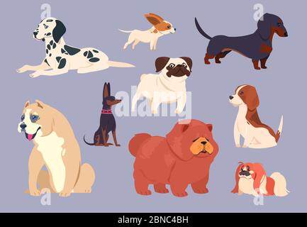 Chiens de dessin animé. Chiot animaux de différentes races. Chow chow, dachshund et dalmatien, noyau de taureau et de pékinois, pug et beagle collection de vecteurs. Chien animal chien animal de race, chiot illustration de la région des tourons Illustration de Vecteur