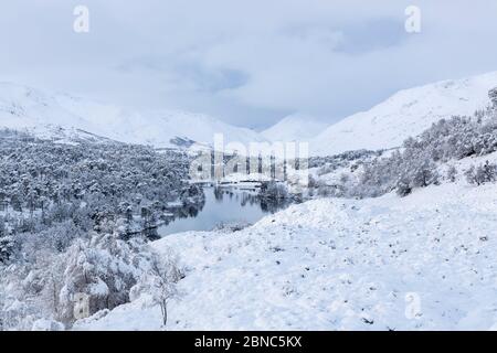Loch Affric après la chute de neige, Glen Affric, Highland, Écosse Banque D'Images