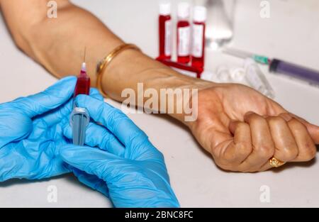 Mains d'un travailleur médical tenant une seringue d'injection avec un échantillon de sang prélevé sur une patiente indienne pour un test de coronavirus Banque D'Images